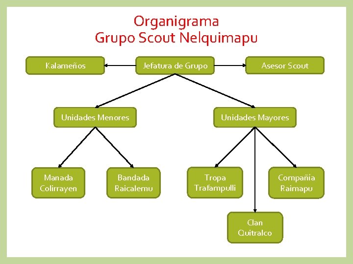 Organigrama Grupo Scout Nelquimapu Unidades Menores Manada Colirrayen Asesor Scout Jefatura de Grupo Kalameños