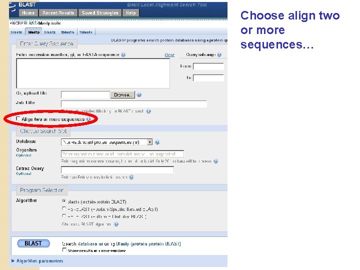 Choose align two or more sequences… 