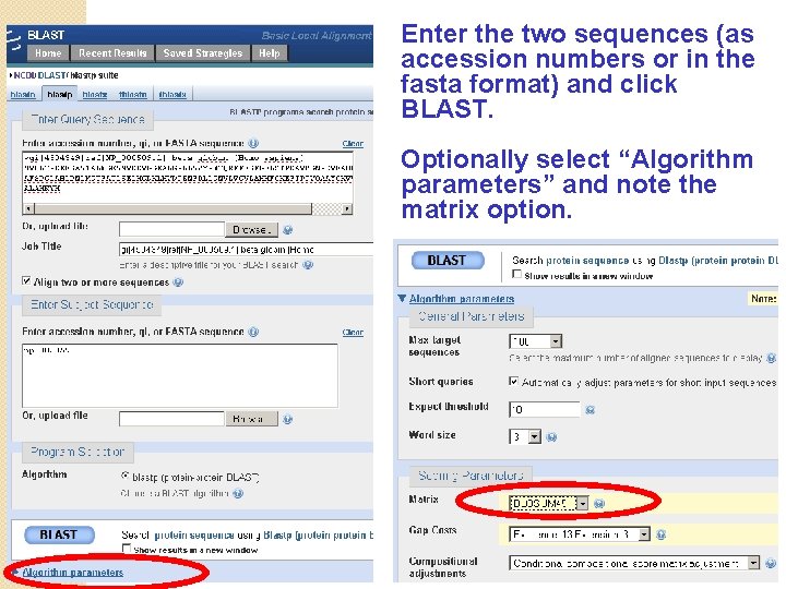 Enter the two sequences (as accession numbers or in the fasta format) and click