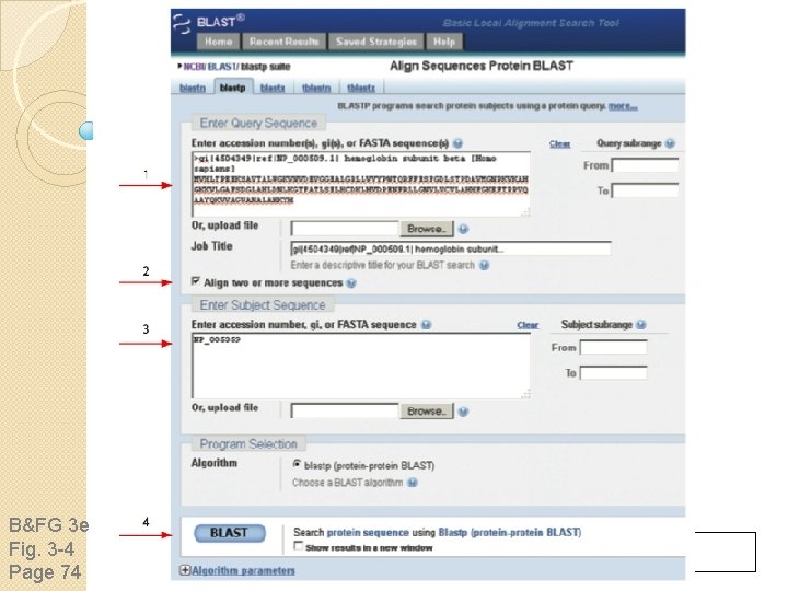 sequence B&FG 3 e Fig. 3 -4 Page 74 Year 