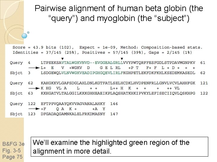 Pairwise alignment of human beta globin (the “query”) and myoglobin (the “subject”) B&FG 3