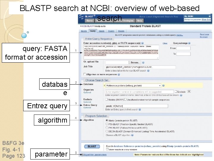 BLASTP search at NCBI: overview of web-based search query: FASTA format or accession databas