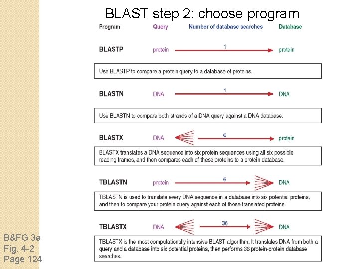 BLAST step 2: choose program B&FG 3 e Fig. 4 -2 Page 124 