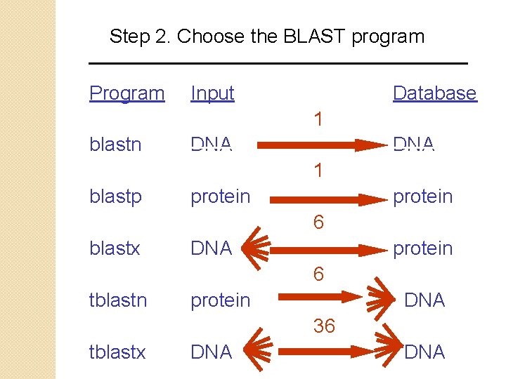 Step 2. Choose the BLAST program Program Input Database 1 blastn DNA 1 blastp