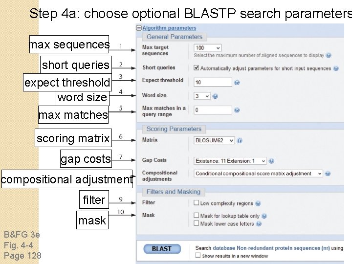 Step 4 a: choose optional BLASTP search parameters max sequences short queries expect threshold