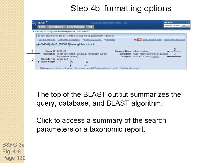 Step 4 b: formatting options The top of the BLAST output summarizes the query,