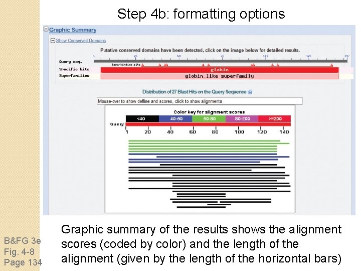 Step 4 b: formatting options B&FG 3 e Fig. 4 -8 Page 134 Graphic