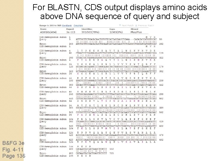 For BLASTN, CDS output displays amino acids above DNA sequence of query and subject