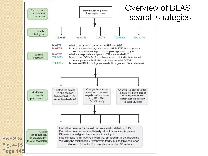 Overview of BLAST search strategies B&FG 3 e Fig. 4 -15 Page 145 