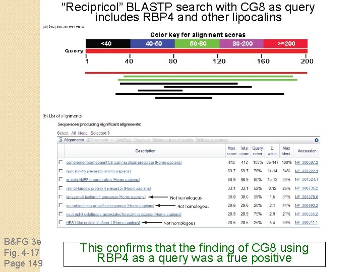 “Recipricol” BLASTP search with CG 8 as query includes RBP 4 and other lipocalins