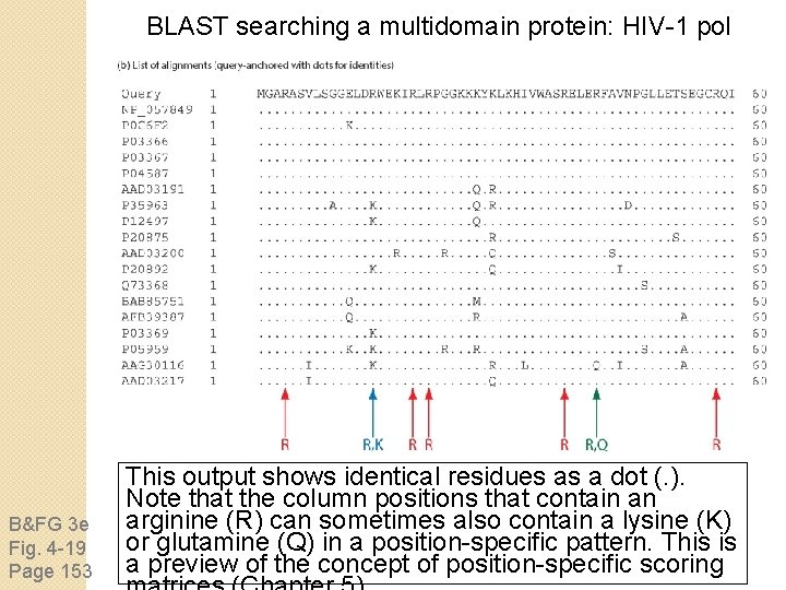 BLAST searching a multidomain protein: HIV-1 pol B&FG 3 e Fig. 4 -19 Page