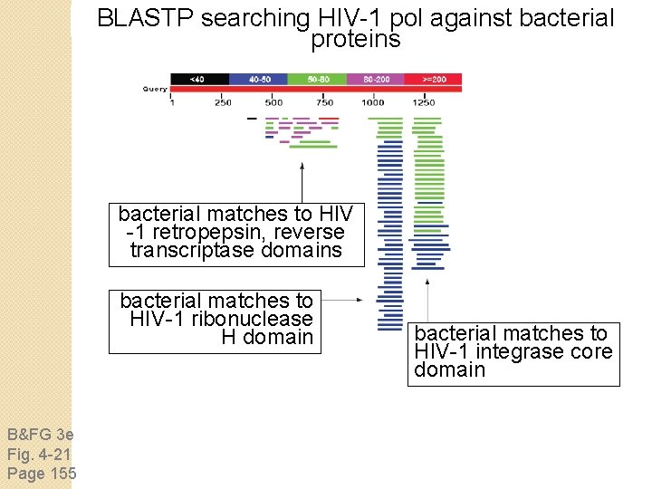 BLASTP searching HIV-1 pol against bacterial proteins bacterial matches to HIV -1 retropepsin, reverse