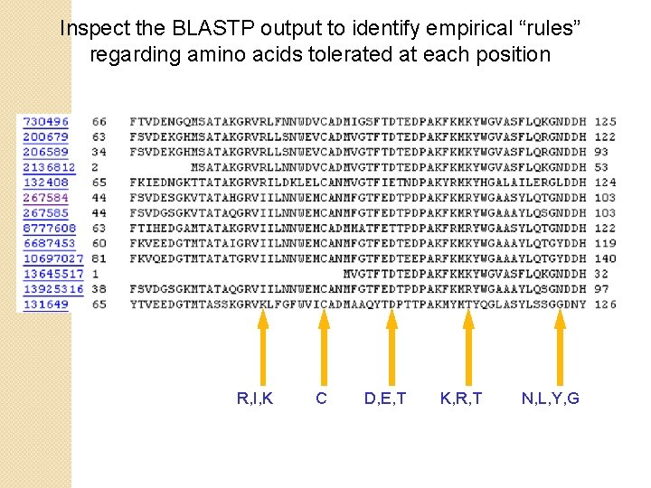 Inspect the BLASTP output to identify empirical “rules” regarding amino acids tolerated at each