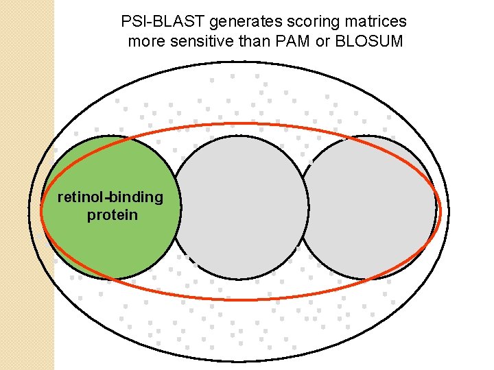 PSI-BLAST generates scoring matrices more sensitive than PAM or BLOSUM retinol-binding protein 