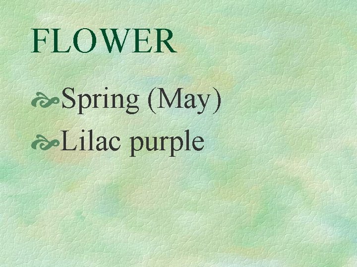 FLOWER Spring (May) Lilac purple 