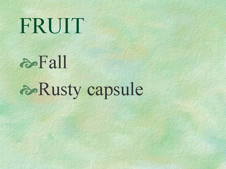 FRUIT Fall Rusty capsule 