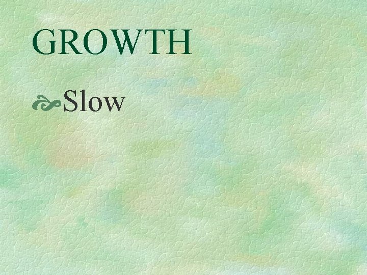 GROWTH Slow 