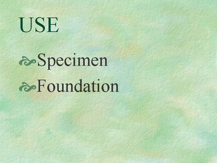 USE Specimen Foundation 