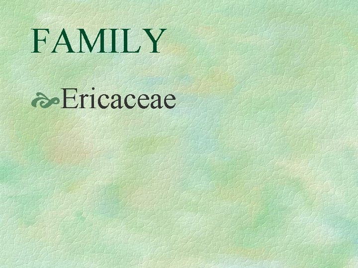 FAMILY Ericaceae 