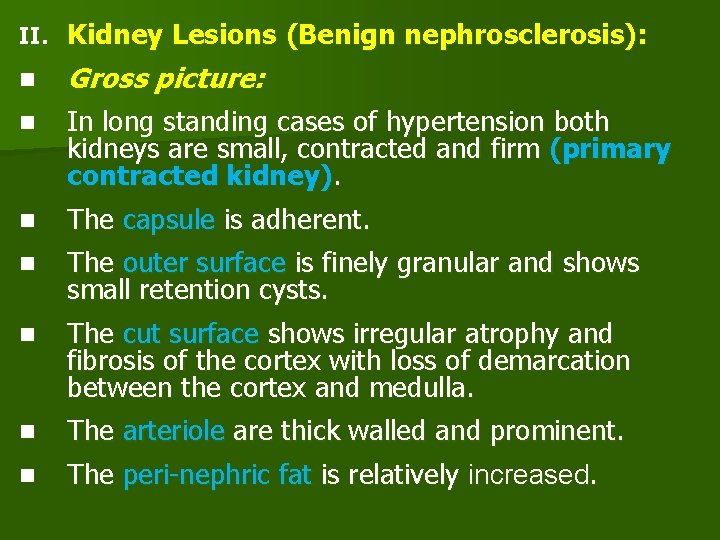 II. Kidney Lesions (Benign nephrosclerosis): n Gross picture: n In long standing cases of