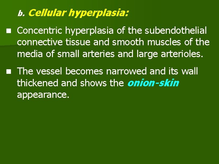 b. Cellular hyperplasia: n Concentric hyperplasia of the subendothelial connective tissue and smooth muscles
