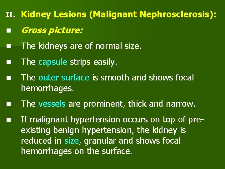 II. Kidney Lesions (Malignant Nephrosclerosis): n Gross picture: n The kidneys are of normal