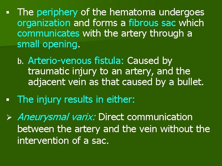 § The periphery of the hematoma undergoes organization and forms a fibrous sac which