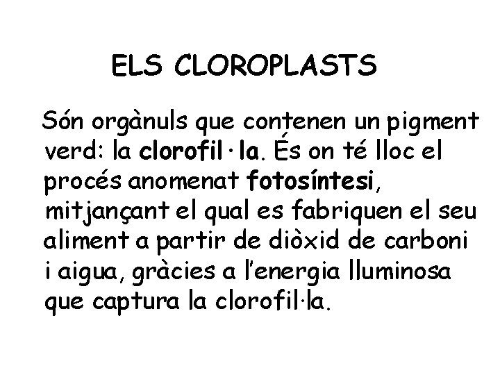 ELS CLOROPLASTS Són orgànuls que contenen un pigment verd: la clorofil·la. És on té