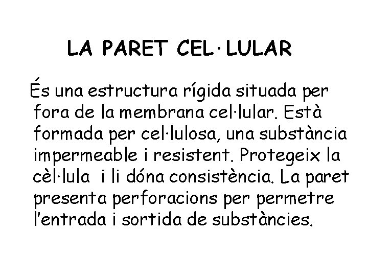 LA PARET CEL·LULAR És una estructura rígida situada per fora de la membrana cel·lular.