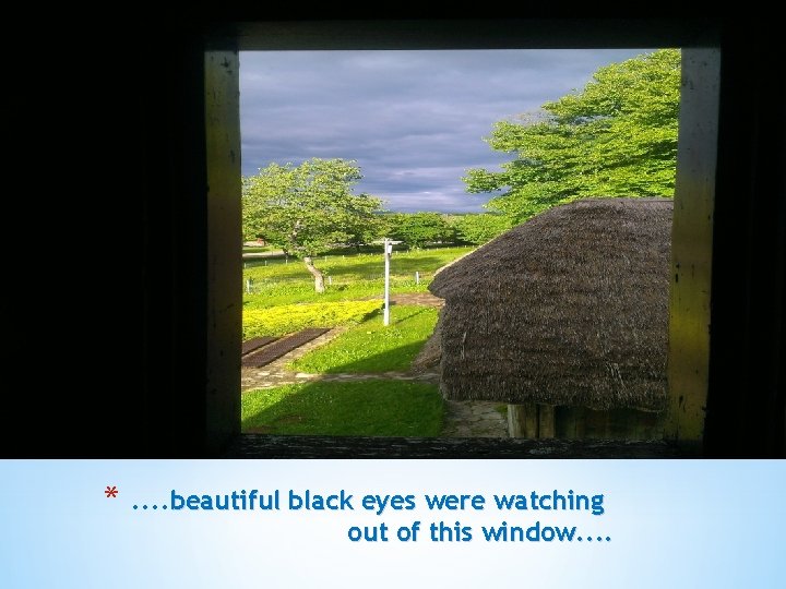 * . . beautiful black eyes were watching out of this window. . 