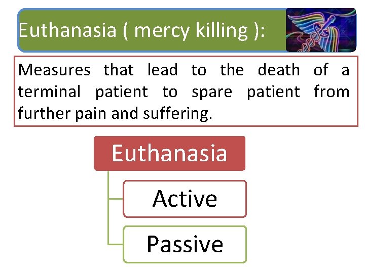 Euthanasia ( mercy killing ): Measures that lead to the death of a terminal