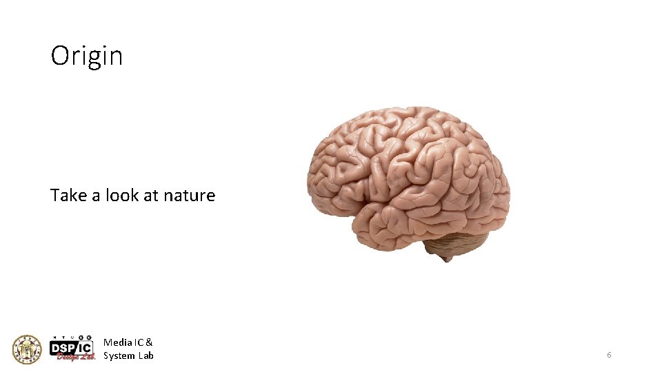 Origin Take a look at nature Media IC & System Lab 6 