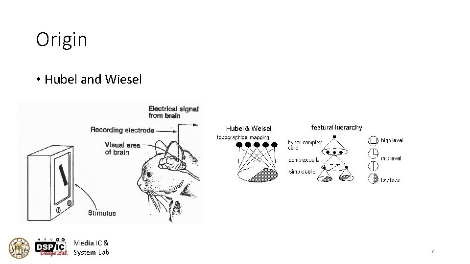 Origin • Hubel and Wiesel Media IC & System Lab 7 
