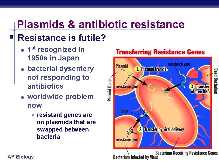 Plasmids & antibiotic resistance § Resistance is futile? u u u 1 st recognized