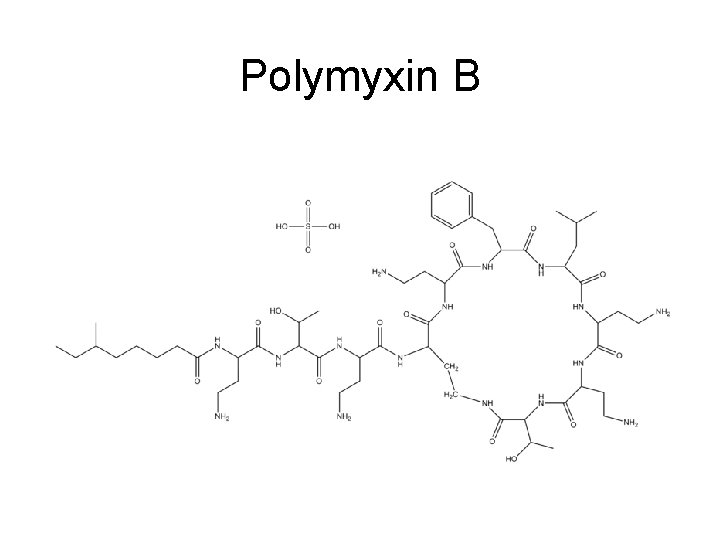 Polymyxin B 