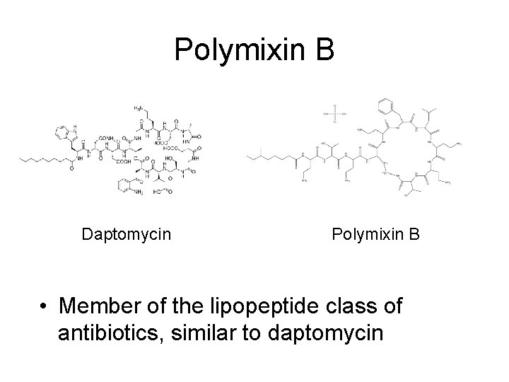 Polymixin B Daptomycin Polymixin B • Member of the lipopeptide class of antibiotics, similar