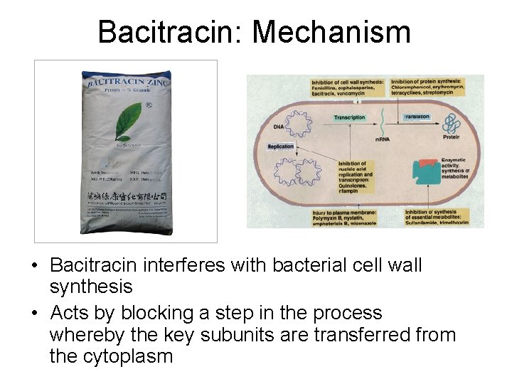 Bacitracin: Mechanism • Bacitracin interferes with bacterial cell wall synthesis • Acts by blocking