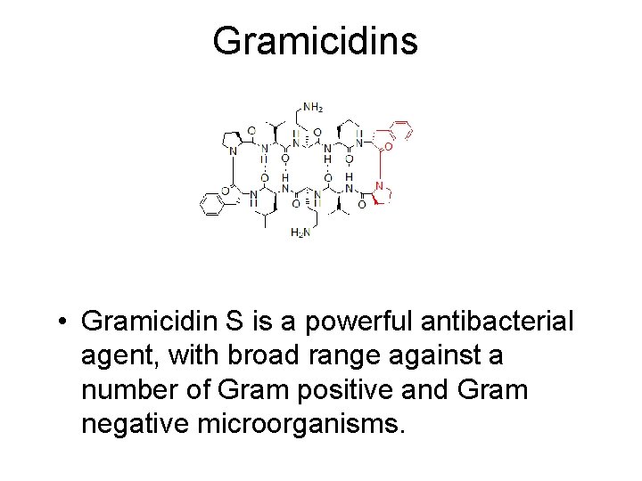 Gramicidins • Gramicidin S is a powerful antibacterial agent, with broad range against a