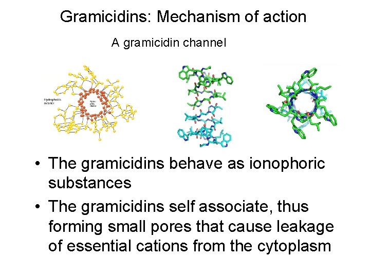 Gramicidins: Mechanism of action A gramicidin channel • The gramicidins behave as ionophoric substances