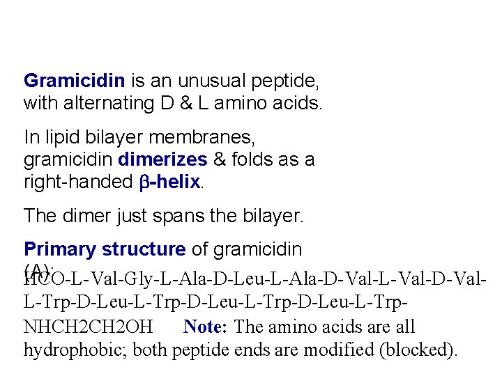 Gramicidin is an unusual peptide, with alternating D & L amino acids. In lipid