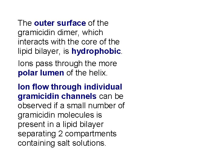 The outer surface of the gramicidin dimer, which interacts with the core of the