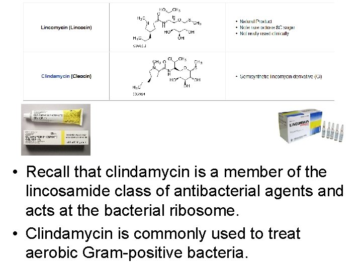  • Recall that clindamycin is a member of the lincosamide class of antibacterial