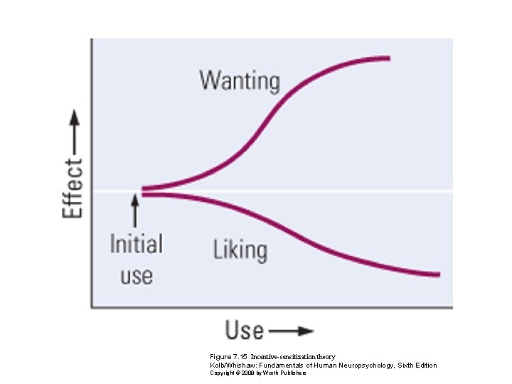 Figure 7. 15 Incentive-sensitization theory Kolb/Whishaw: Fundamentals of Human Neuropsychology, Sixth Edition Copyright ©