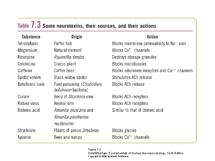 Table 7. 3 Kolb/Whishaw: Fundamentals of Human Neuropsychology, Sixth Edition Copyright © 2008 by