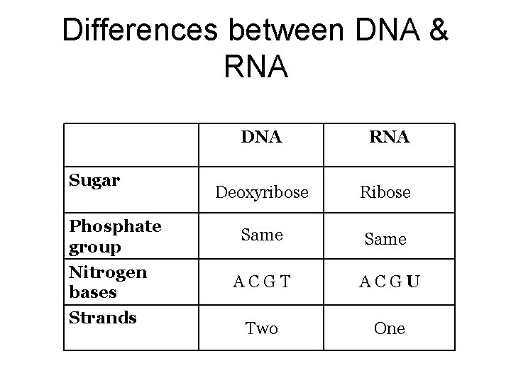 Differences between DNA & RNA Sugar Phosphate group Nitrogen bases Strands DNA RNA Deoxyribose