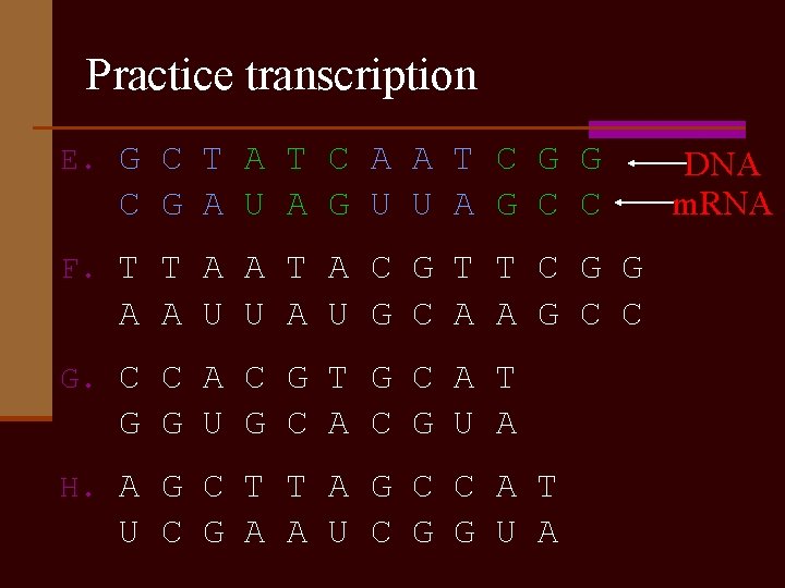 Practice transcription E. G C T A T C A A T C G