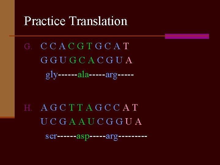 Practice Translation G. C C A C G T G C A T GGUGCACGUA
