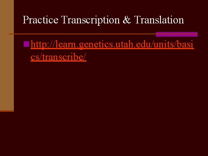 Practice Transcription & Translation n http: //learn. genetics. utah. edu/units/basi cs/transcribe/ 