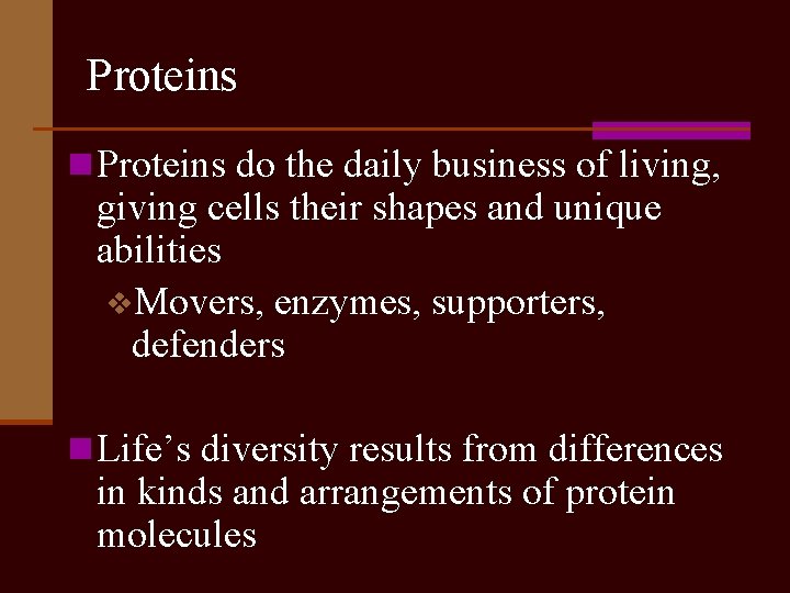 Proteins n Proteins do the daily business of living, giving cells their shapes and