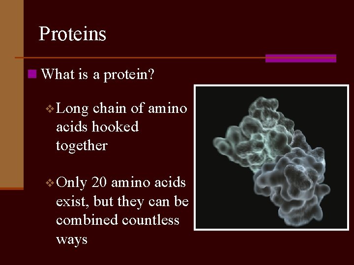 Proteins n What is a protein? v. Long chain of amino acids hooked together